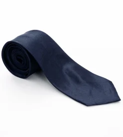 Cravatta uomo unisex elegante cerimonia casual basic raso blu GIOSAL-CP1035A