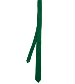 Cravattino uomo unisex cravatta sottile elegante cerimonia casual basic raso verde GIOSAL-CP1037A