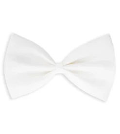 Papillon Farfalla Raso Uomo Unisex Cravattino Bianco Accessorio Elegante Cerimonia Casual Basic GIOSAL-CP1072A