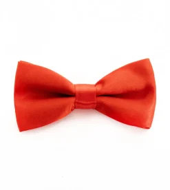 Papillon Farfalla Raso Uomo Unisex Cravattino Rosso Accessorio Elegante Cerimonia Casual Basic GIOSAL-CP1060A