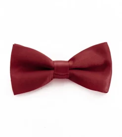 Papillon Farfalla Raso Uomo Unisex Cravattino Bordeaux Accessorio Elegante Cerimonia Casual Basic GIOSAL-CP1059A