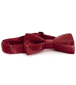 Papillon Farfalla Raso Uomo Unisex Cravattino Bordeaux Accessorio Elegante Cerimonia Casual Basic GIOSAL-CP1059A